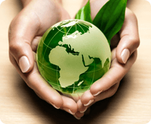 Ochrona środowiska i trwałość (Ekologia)